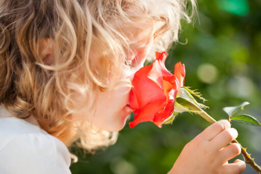 How Can You Create a Modern Sensory Garden for Kids? ~ Fresh Design Blog